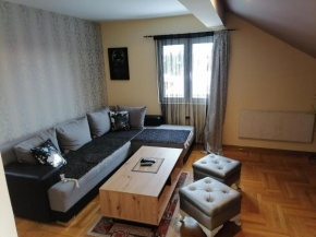 Apartman Nestorovic-Ćebić
